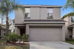 10611 Summer Azure Dr in Riverview, FL - Building Photo