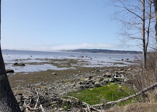 7 Beachwood Bay Dr in Cutler, ME - Building Photo - Building Photo