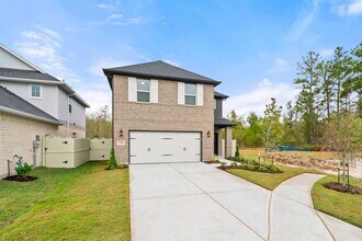 17410 Rosette Grass Dr in The Woodlands, TX - Building Photo - Building Photo