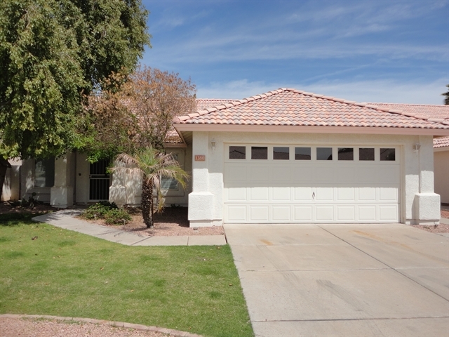 1380 W Gail Dr in Chandler, AZ - Building Photo