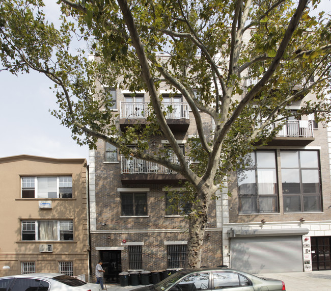 37 Conselyea St in Brooklyn, NY - Foto de edificio - Building Photo