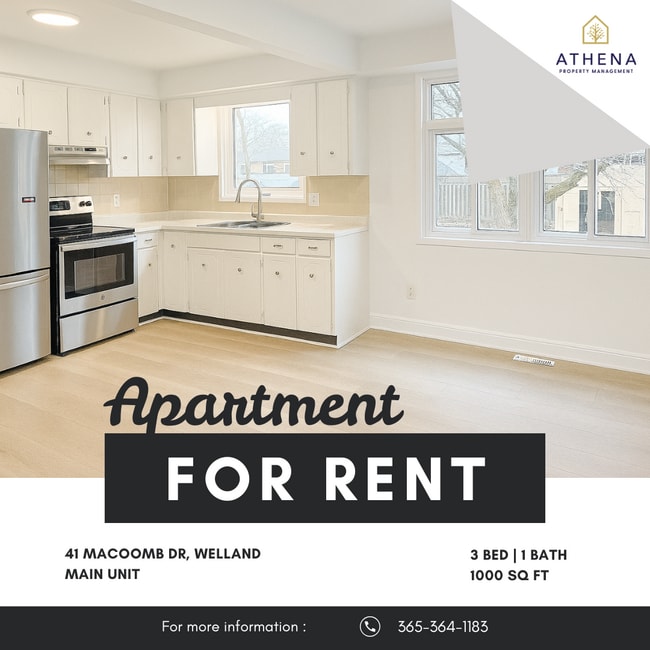 property at 41 Macoomb Dr