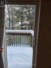 11 Shallot Ct in Richmond Hill, ON - Building Photo - Building Photo