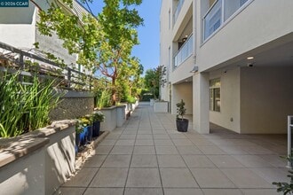 1756 Cole Ave in Walnut Creek, CA - Building Photo - Building Photo