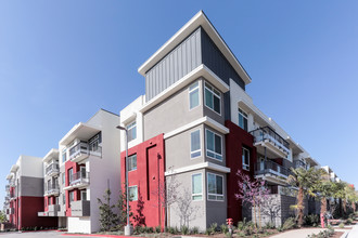 Calligraphy Urban Residences in Brea, CA - Building Photo - Building Photo