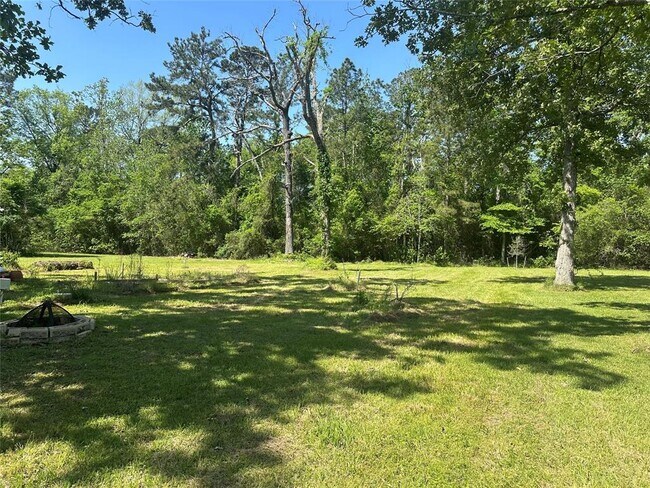 11685 W Small Oaks Ln in Willis, TX - Building Photo - Building Photo