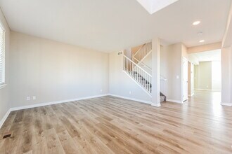 2487 Paint Pony Ct in Castle Rock, CO - Building Photo - Building Photo
