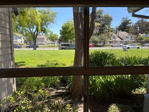 34590 Falls Ter in Fremont, CA - Building Photo - Building Photo
