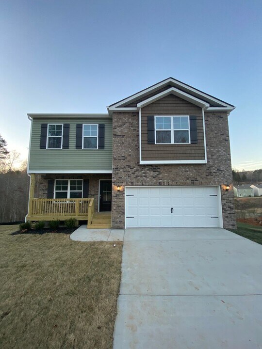539 Hayley Marie Ln in Knoxville, TN - Building Photo