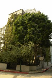 The Villa Bonita in Los Angeles, CA - Foto de edificio - Building Photo