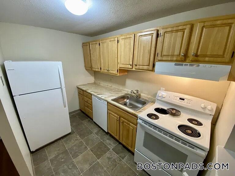 66 Homer Ave in Cambridge, MA - Building Photo