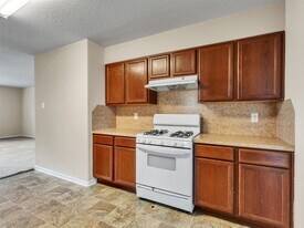 5018 Blue Spruce Hill St in Humble, TX - Building Photo