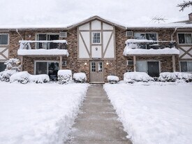 16W481 Lake Dr in Willowbrook, IL - Building Photo