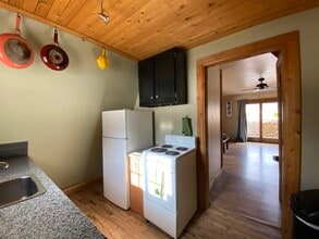 174 Co Rd 4 in Alma, CO - Building Photo - Building Photo
