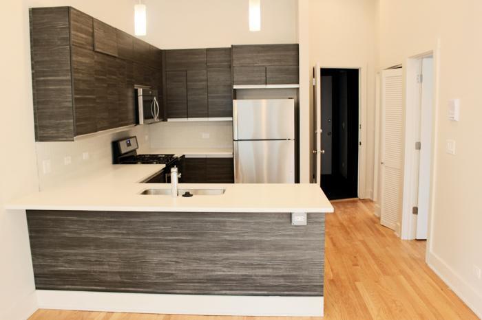 1501 W Nelson St in Chicago, IL - Building Photo