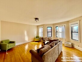 225 Chestnut Hill Ave in Boston, MA - Building Photo