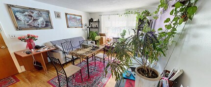 365 Faneuil St, Unit 12 in Boston, MA - Foto de edificio - Building Photo