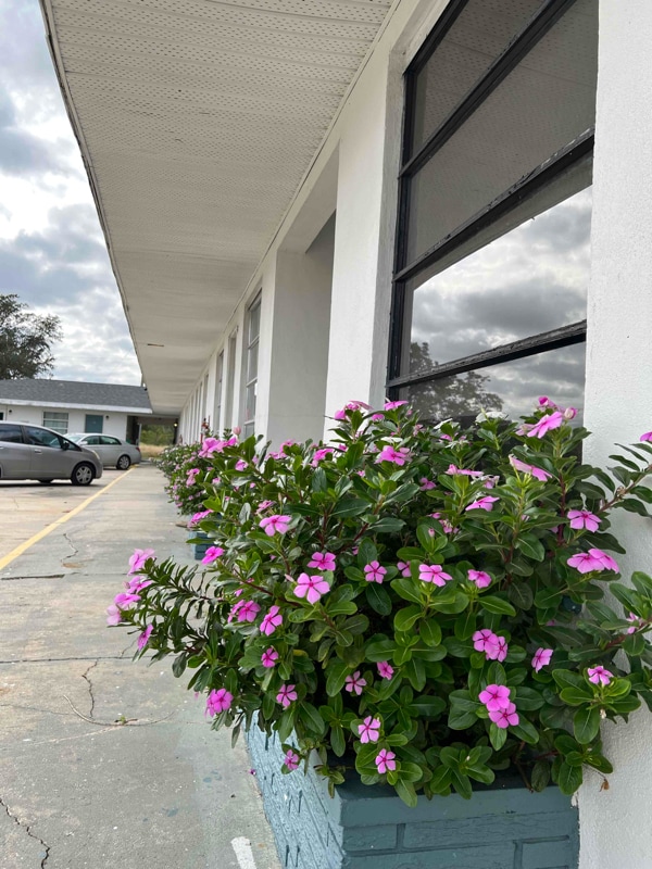property at 6480 Miami Dr