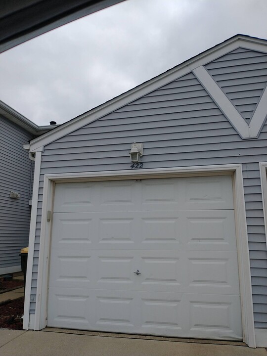 422 Meadow Green Ln in Round Lake Beach, IL - Building Photo