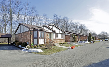 The Woodlands Condos in Southfield, MI - Building Photo - Building Photo