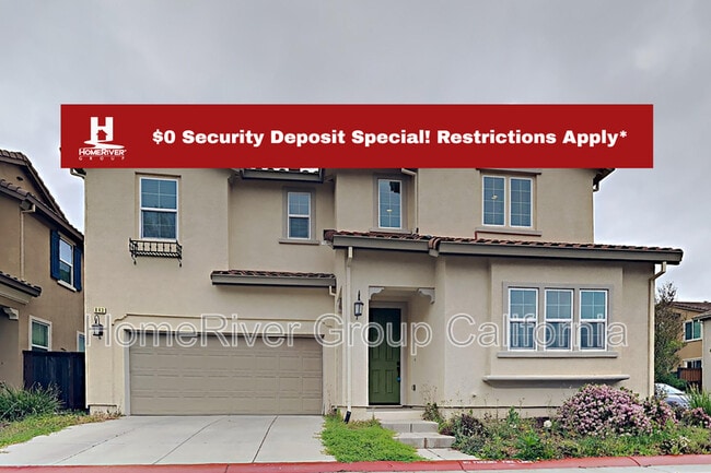 property at 843 Blossom Rock Ln