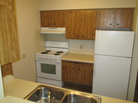 Erickson Meadowview Apartments in Olivia, MN - Building Photo - Building Photo