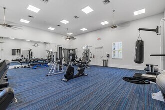 The Apartments at the Isles of Porto Vista in Cape Coral, FL - Building Photo - Building Photo