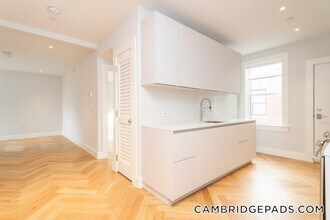 19A Forest St, Unit 44 in Cambridge, MA - Building Photo - Building Photo