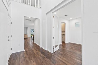 33263 Sycamore Leaf Dr in Wesley Chapel, FL - Building Photo - Building Photo
