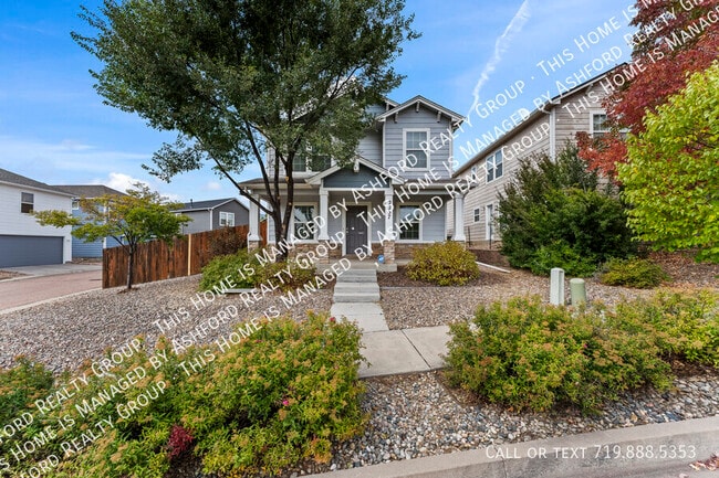 2237 Winter Blossom Point in Colorado Springs, CO - Building Photo - Building Photo