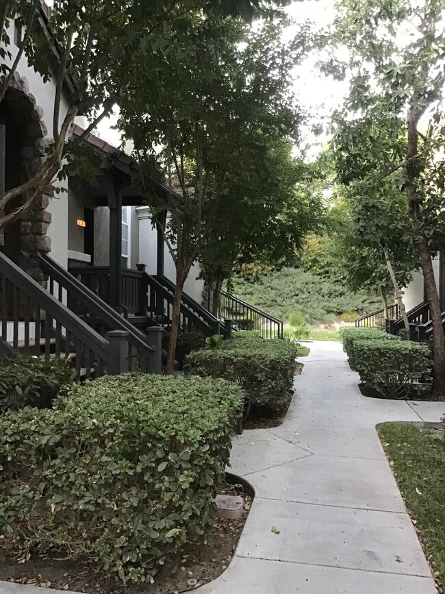 8 Benchmark Ln Rentals in Aliso Viejo, CA