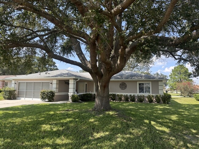 property at 10016 SW 62nd Cir