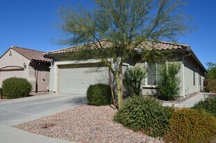 7202 W Pleasant Oak Way in Florence, AZ - Building Photo