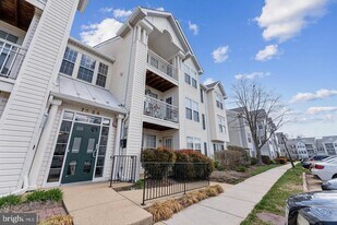 7524 Snowpea Ct in Alexandria, VA - Building Photo