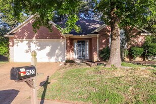 3920 Pecan Trace Cove in Bartlett, TN - Building Photo