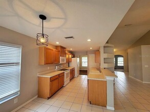 12018 Wallingford Way in Parrish, FL - Building Photo - Building Photo