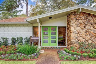 1101 Guinea Dr in Houston, TX - Building Photo