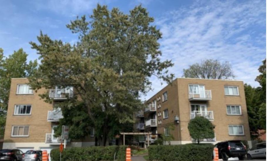 10515-10525 Saint-Laurent Boul in Montréal, QC - Building Photo