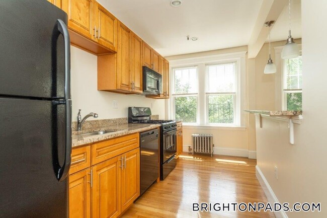 288 Chestnut Hill Ave in Boston, MA - Building Photo - Building Photo