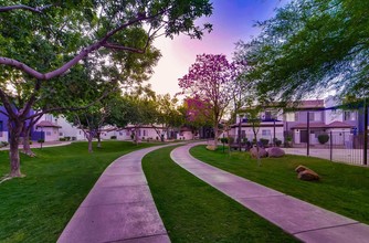 Verano Townhomes in Phoenix, AZ - Building Photo - Building Photo