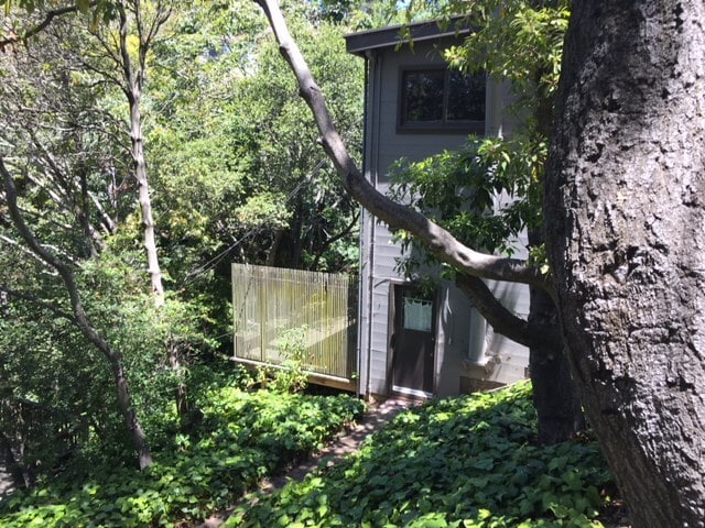58 Roble Rd, Unit Detached Cottage in Berkeley, CA - Building Photo - Building Photo