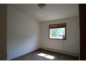 401 W Main St in Anoka, MN - Building Photo - Building Photo