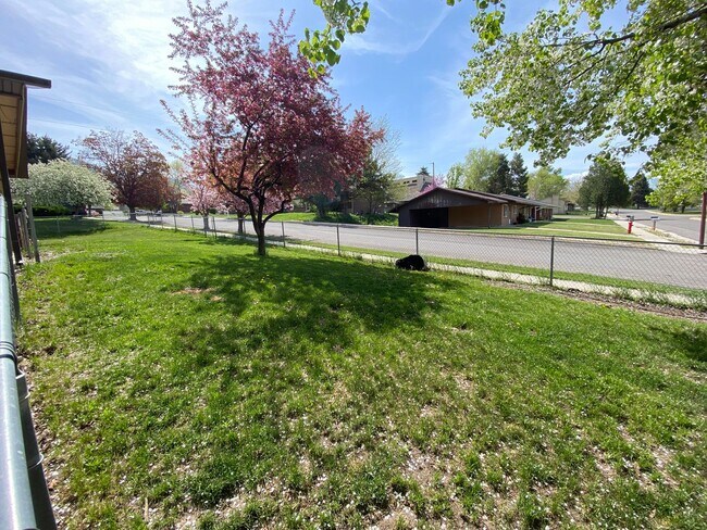 122-132 N 1050 E in Springville, UT - Building Photo - Building Photo