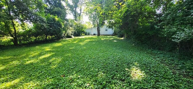 1341 S Oak Grove Ave in Springfield, MO - Building Photo - Building Photo