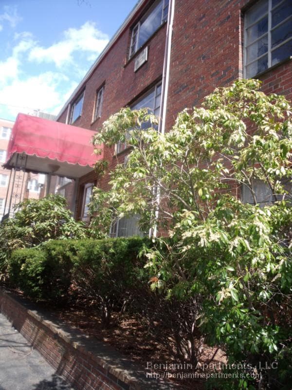 50 Evergreen St, Unit 23 in Boston, MA - Building Photo - Building Photo