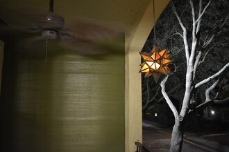 1810 E Palm Ave, Unit 7205 in Tampa, FL - Foto de edificio - Building Photo