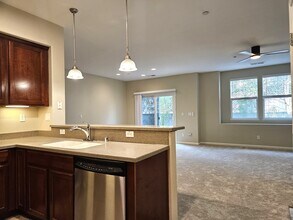 143 W Saltillo Ln in Mountain House, CA - Building Photo - Building Photo