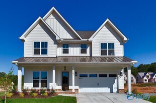 101 Stenness Br in Madison, AL - Building Photo