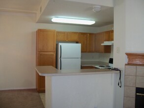 3855 Strawberry Field Grove in Colorado Springs, CO - Building Photo - Building Photo