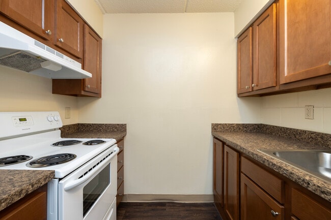 River Pines Senior Apartments 55+ in Tampa, FL - Building Photo - Interior Photo